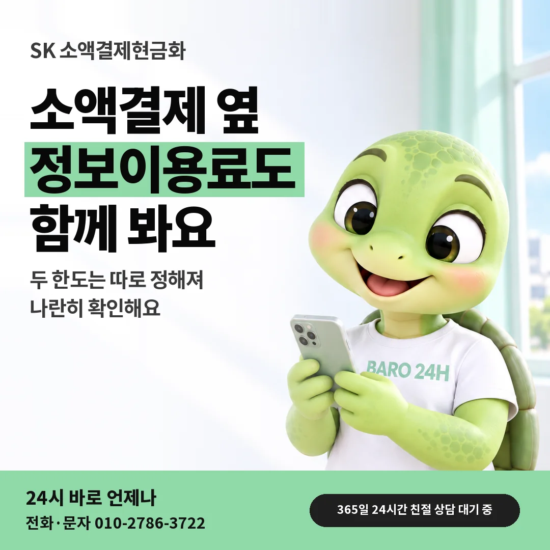 BARO 24H 티셔츠를 입은 3D 거북이 캐릭터 옆에 「SK 정보이용료 한도 함께 보기」 제목을 얹은 안내 카드